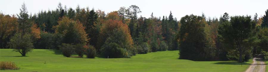 golfing cabot trail