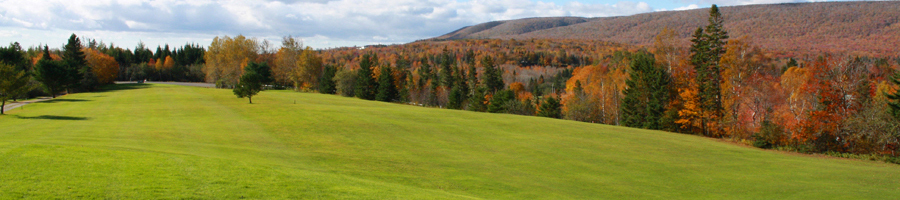 Beautiful Baddeck Forks Golf